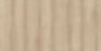 Ivory White Ash (TH 817 J)